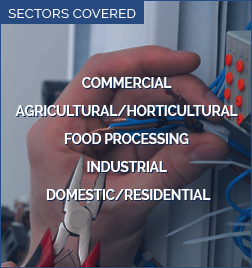 Sectors Covered